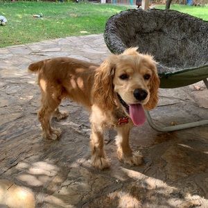 Meet your Posher, Johnny